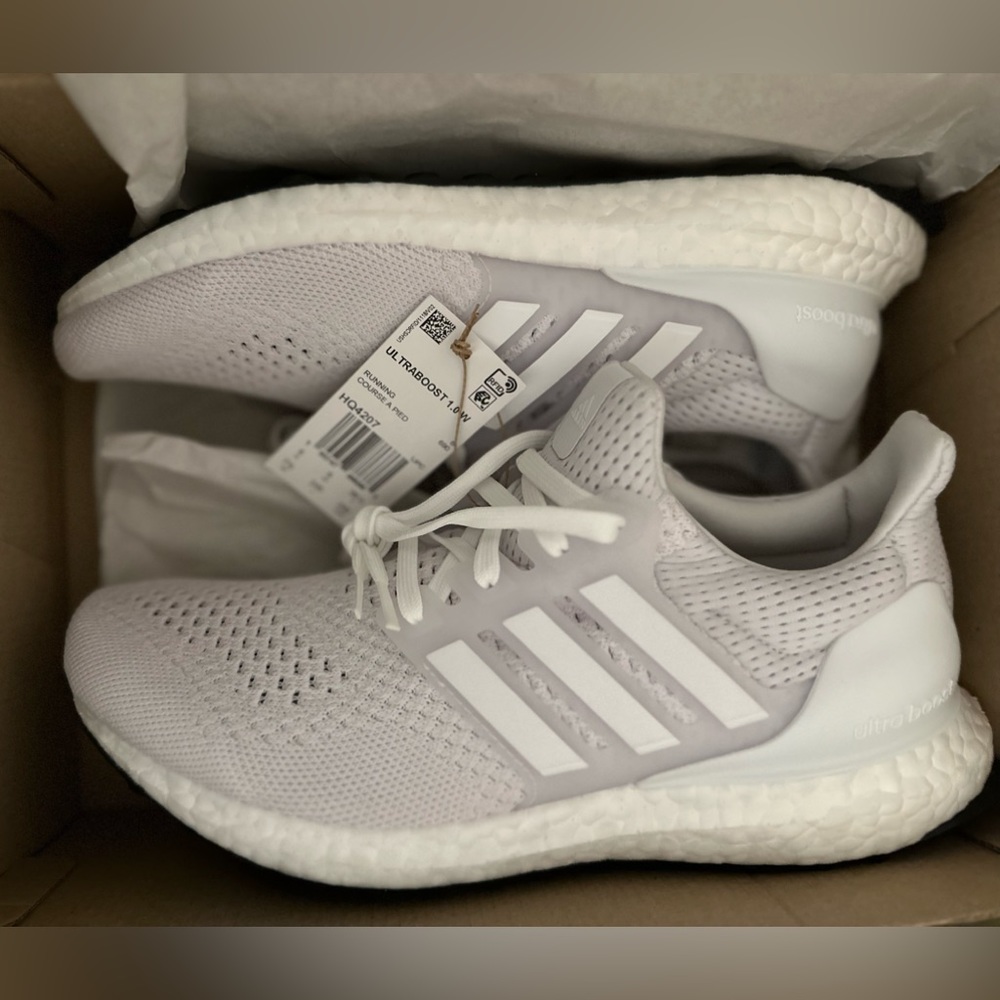 Adidas ULTRABOOST 1.0 Shoes